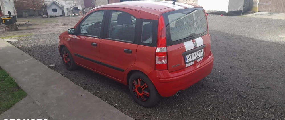 Fiat Panda cena 7000 przebieg: 165000, rok produkcji 2006 z Nysa małe 56